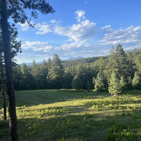 Black Bear Pagosa Springs Exterior foto